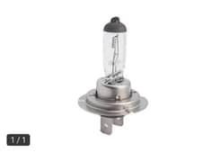 Find H7 Halogen Bulb 12v 55w