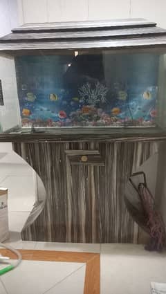 Beautiful Aquarium