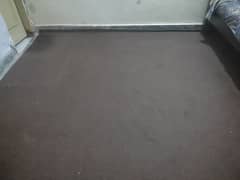 carpet