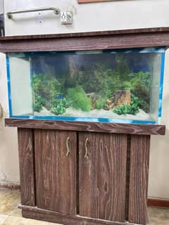 Aquarium