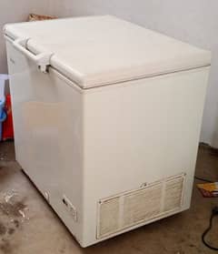 Haier