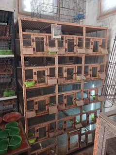 Wood cage