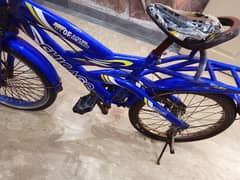 Bicycle Size 20 For Sale