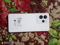 Dcode bold 3 10 by 10 condition