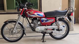 Honda 125 Model 2022 Golden No 313