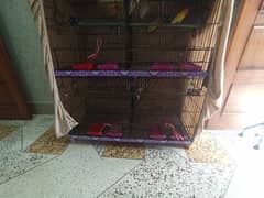 cage