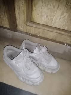 orignal zara men's shoes