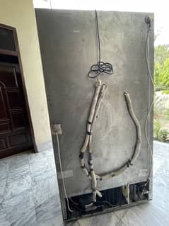 Haier