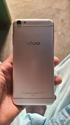 vivo