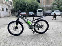 Without gears 16 inch cycle