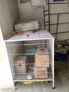 cage tar 10