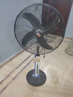 fan royal