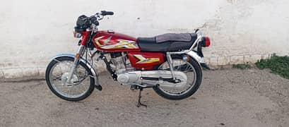 united 125 2024