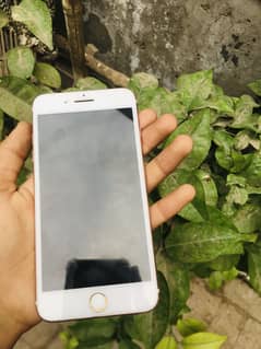 I phone 7plus