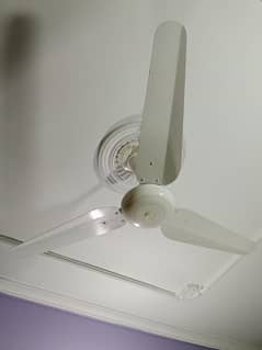 Full Size Ceiling Fans 3 Urgently Sale
