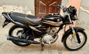 Yamaha YBZ 125 2022 Model