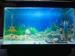 Aquarium