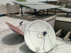Dish