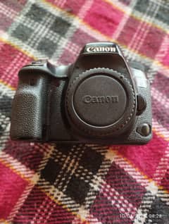 Canon 6D Mark ii