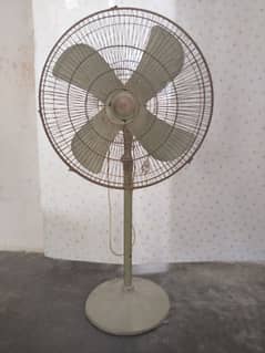Polo Pedestal Fan
