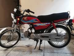CD 70 Red