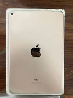 Ipad mini 5