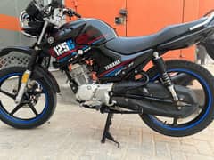Yamaha