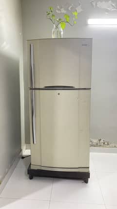 Toshiba