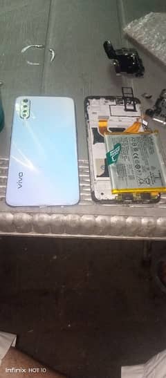 vivo