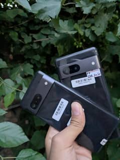 Google Pixel 7 Approved