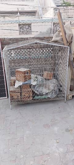 Colony cage 0306 8519194