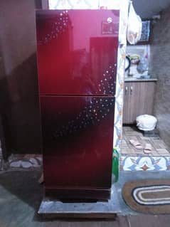 PEL Refrigerator