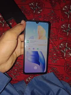 Whatsapp nombr 03116914121