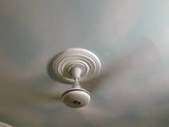Ceiling fan
