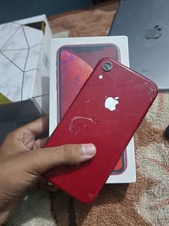 Xr