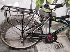 morgan cycle