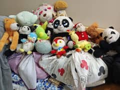 14 stuffed toys different sizes