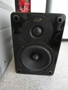 Gale Aria AR 10 speaker