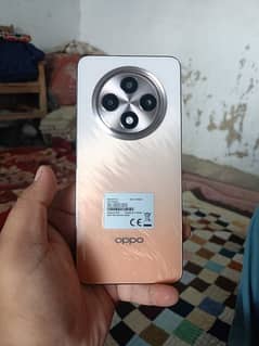 03040309377