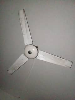 ceiling