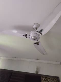 56" GFC fans  for sale