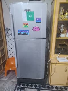 Hair Refrigerator Highly Recommend