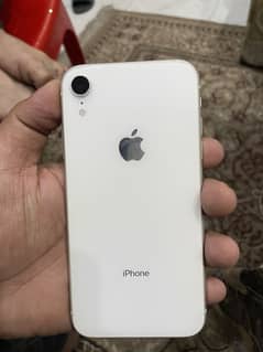 IPHONE XR  | Dual-PTA APPROVED