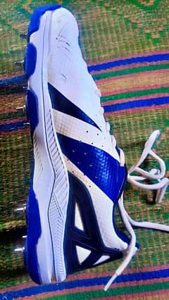 CA shoes