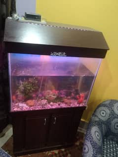 watch,  Fish Aquarium urgent sale