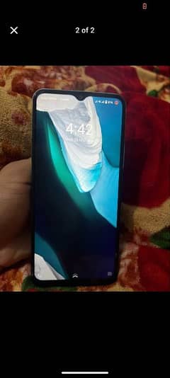 vivo