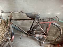Cycle