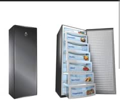 Vertical freezer for sale
