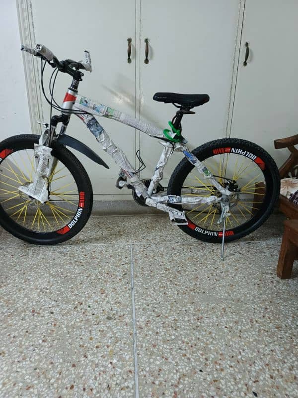 Dolphin river bicycle 1