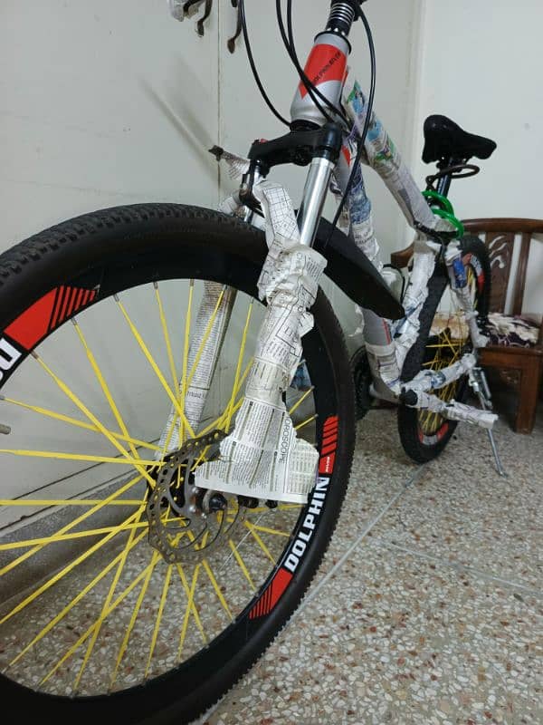 Dolphin river bicycle 2